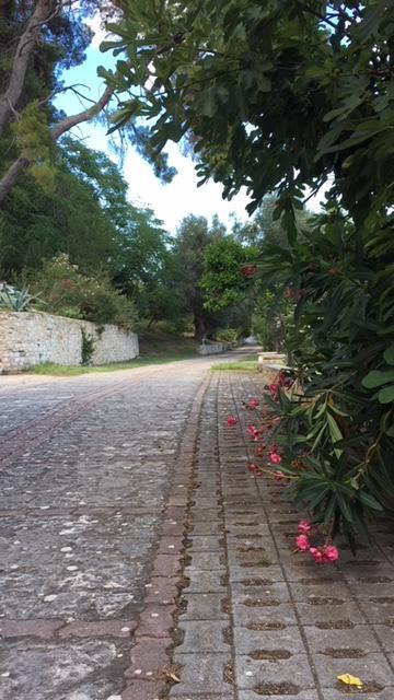 Tenuta Valle Della Corte Vieste Kültér fotó