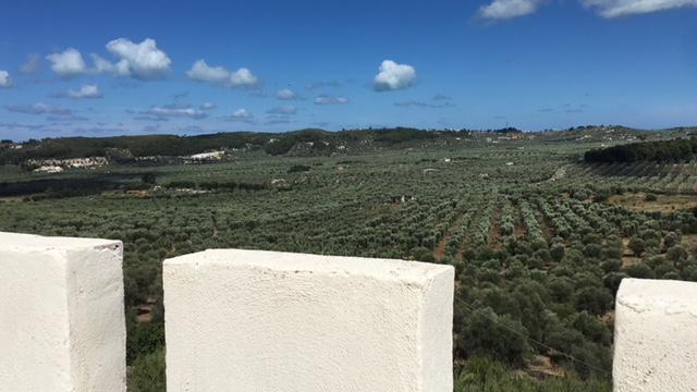 Tenuta Valle Della Corte Vieste Kültér fotó